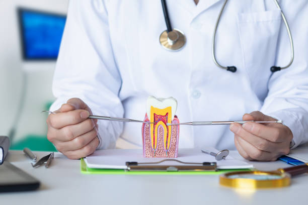 Best Emergency Tooth Extraction in Westport, IN